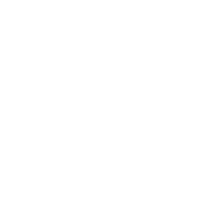 rupisa.com